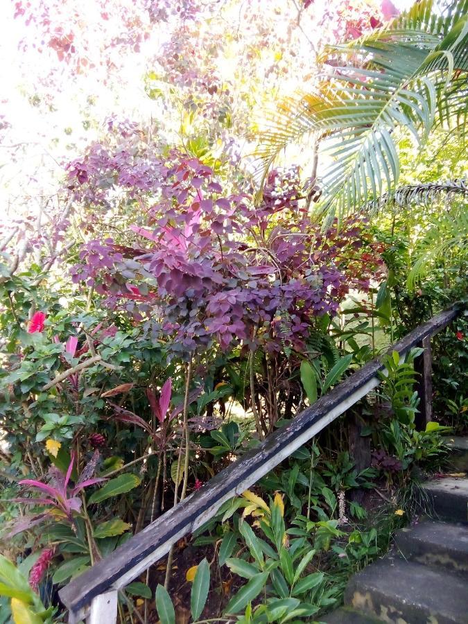 Island Home Honiara Exterior photo